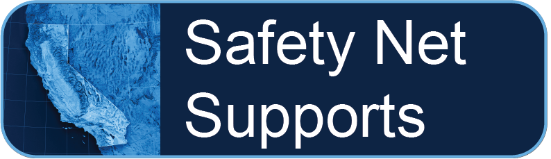 Dashboard - Safety Net Supports